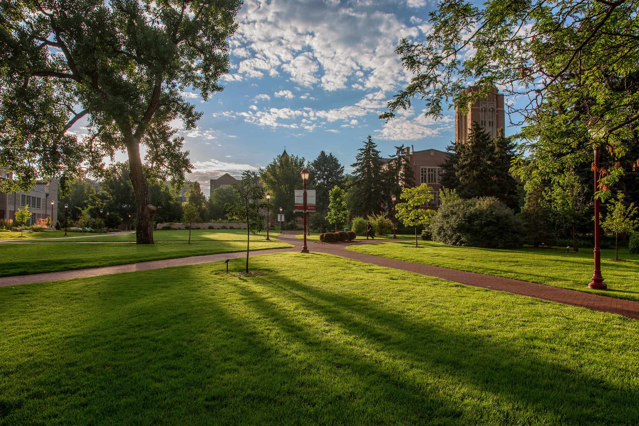 Giving Back Key to Alum’s Success