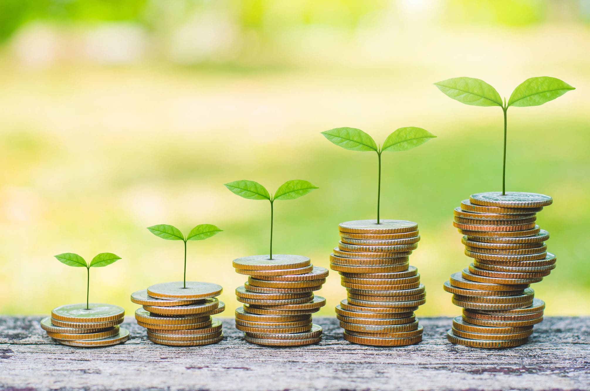 Quantifying the Value of Sustainability and Corporate Governance