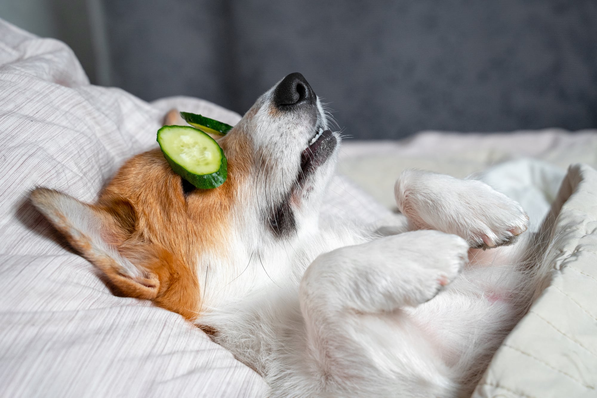 5 Ways to Reduce Stress During Finals