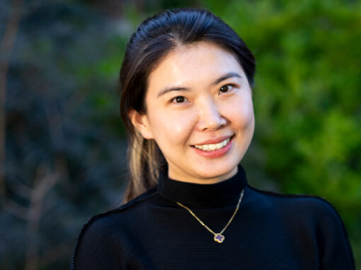 Qiaohui Li