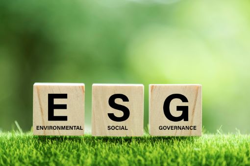 How Companies Account for Their Sustainability Efforts