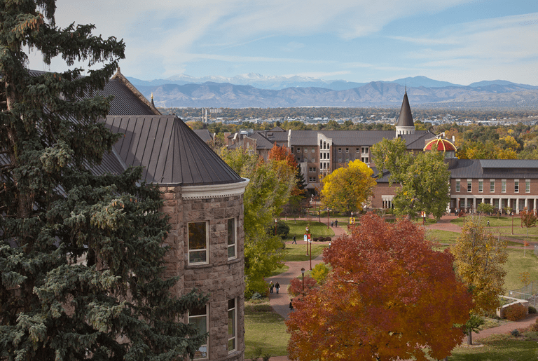 Get to Know Daniels’ Incoming Class
