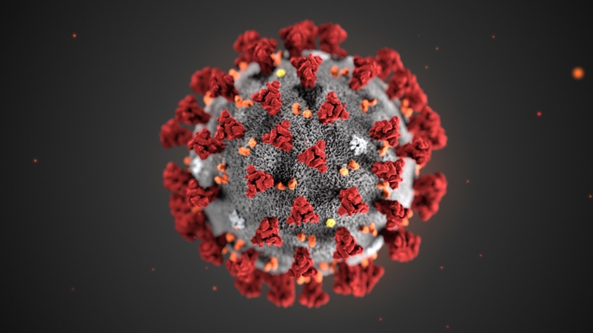 Q&A: With Coronavirus Testing the Economy, What Does Effective Relief Look Like?