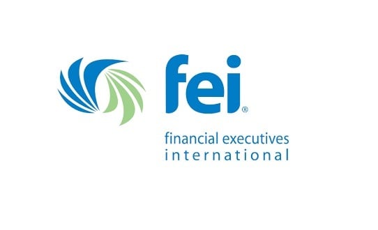 Financial Executives as Leadership Stewards