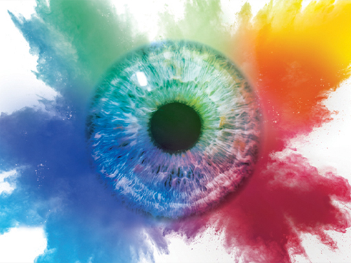 Seeing in Color