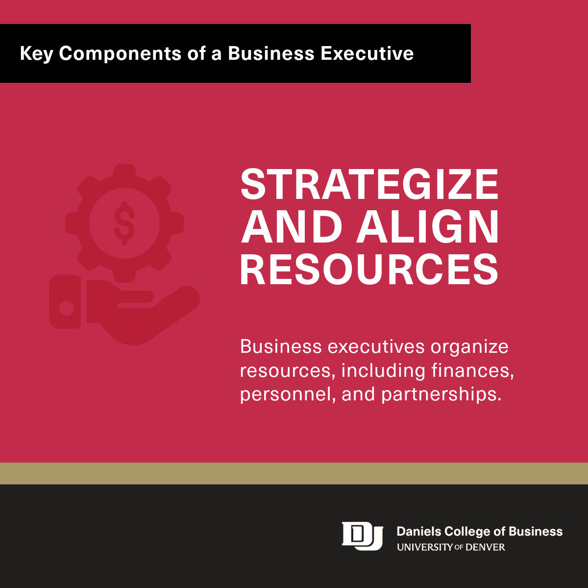 Business Executive Infographic 2: Strategize and Align Resources